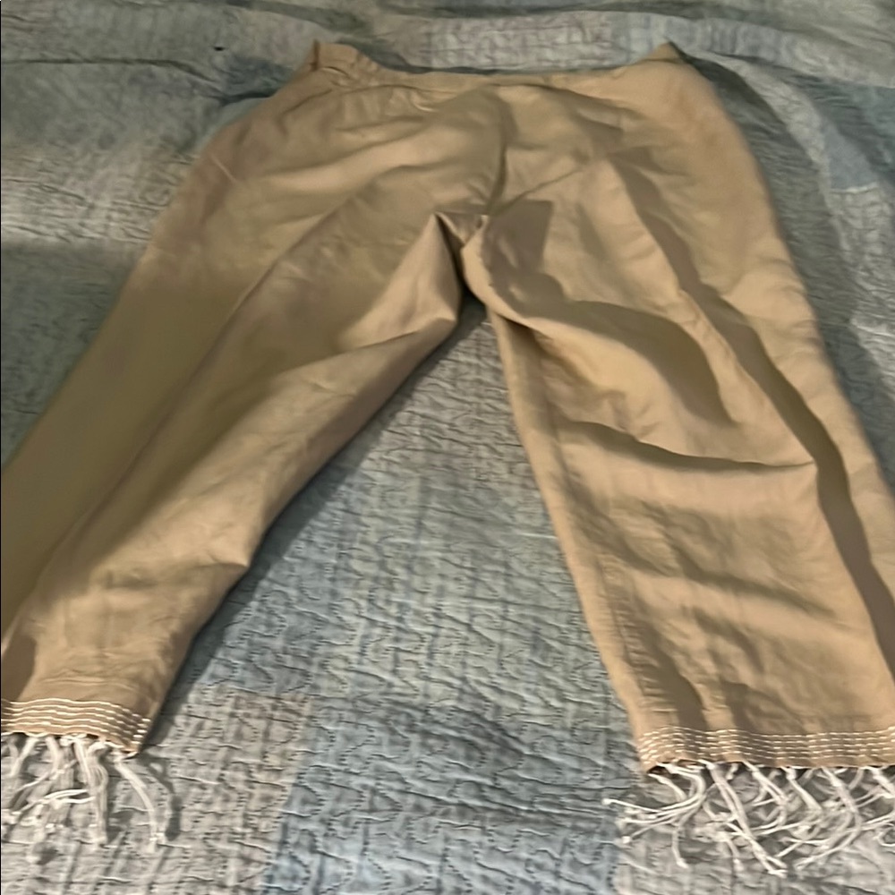 Joy &Peace women size 14 Tan Pants. Zipper and hook and button on the side
